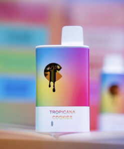 color disposable in stock now, buy dutt disposable, buy tiny 2g glazed review, buy boutiq switch v5, grab & dab disposable in stock now