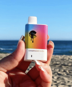 colors disposable 3 gram in stock now, buy colors extracts, buy waxx barz disposable 2g, buy tiny disposable, buy colors carts disposable​