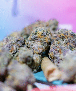 Colors Weed Cherry Runtz in stock now, buy colors dispo now online, buy colors 2g disposable, buy third eye mushroom extract vape, buy cartnite