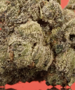 Rainbow Runtz Flower in stock now, buy mfkn baja blast in stock now, buy 3g colors disposable, buy colors 3g disposable, buy california gold pens