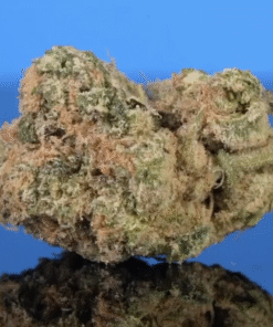 Colors Extracts in stock now, buy pyntrees 2g disposable now, buy tiny 2g disposable, buy colorado vape 6g disposable, buy colors 3g disposable