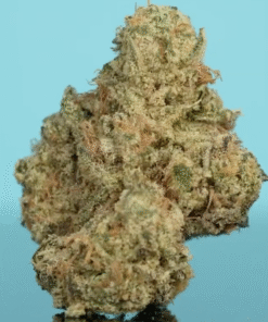 colors weed Animal Mintz in stock now, buy sweet carts 2g disposable, buy besos 2g disposable, buy sweet carts 2g disposable, buy colors disposable